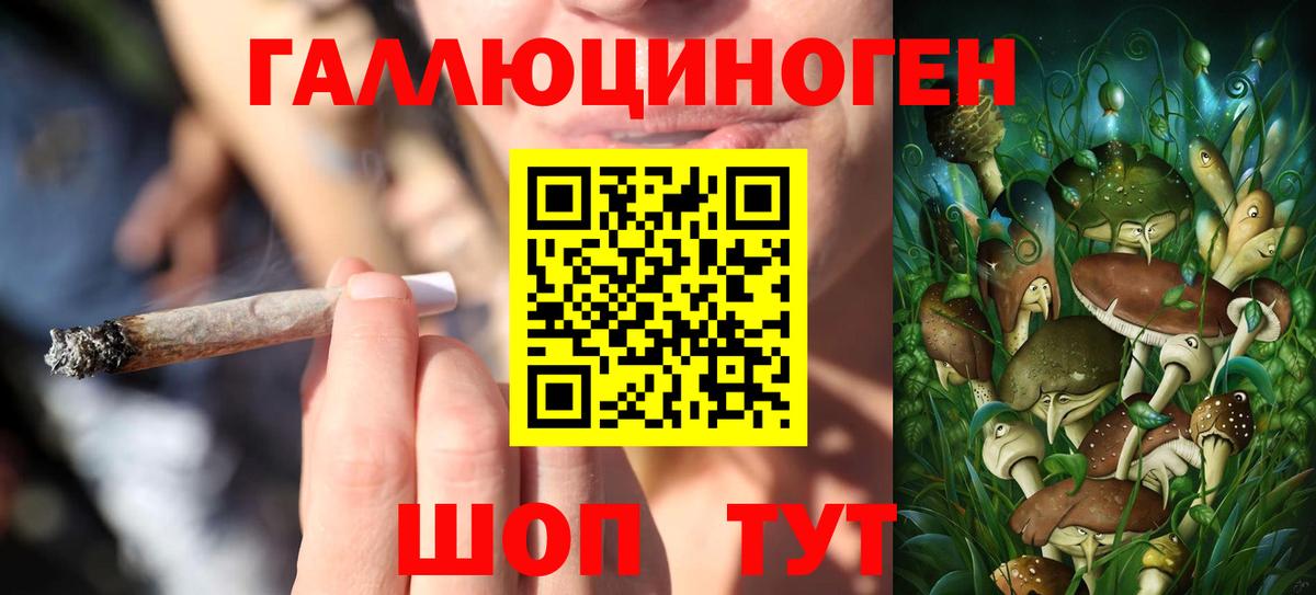 Псилоцибиновые грибы прущие грибы Ивантеевка