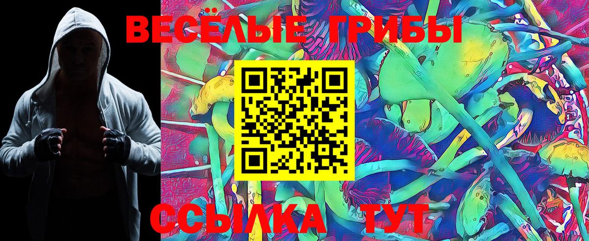 Галлюциногенные грибы GOLDEN TEACHER  Вход с VPN  Псилоцибиновые грибы Cubensis  Ивантеевка 